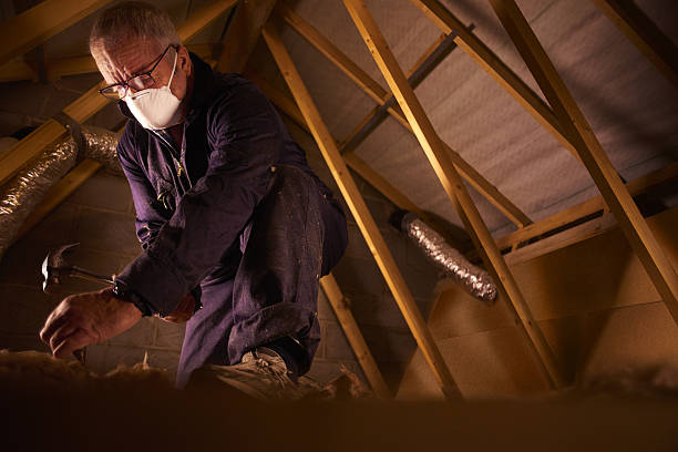 Best Insulation Materials and Products in Alondra Park, CA